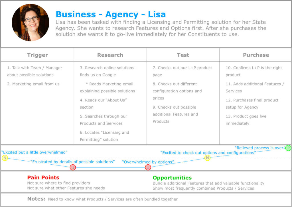 User journey for the business persona